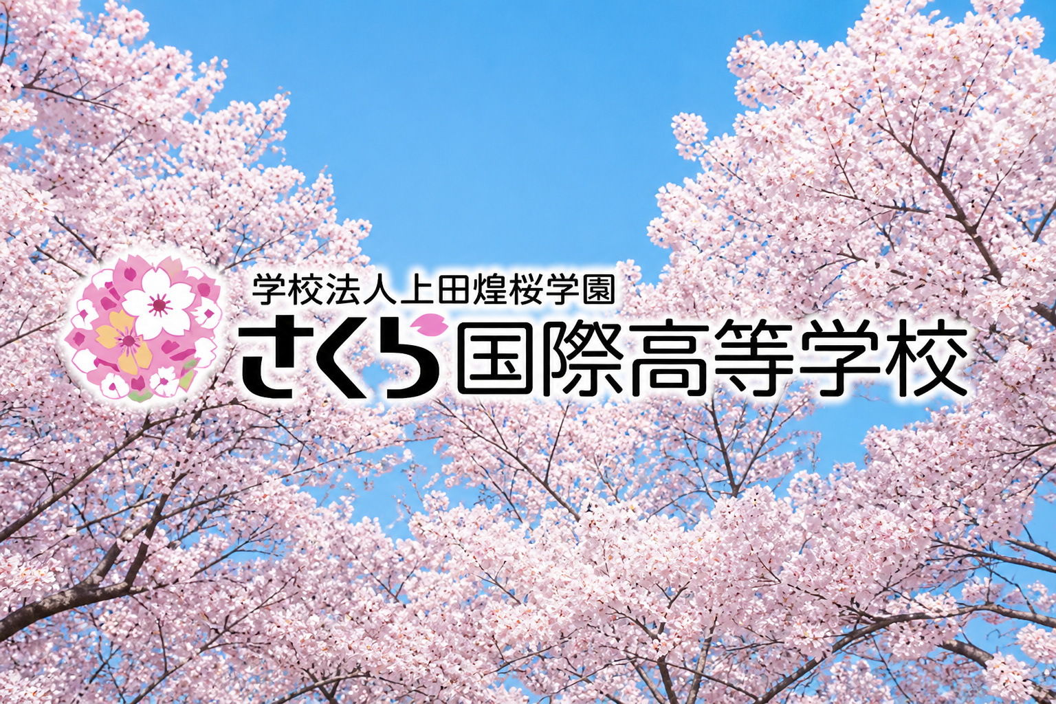 通信高校